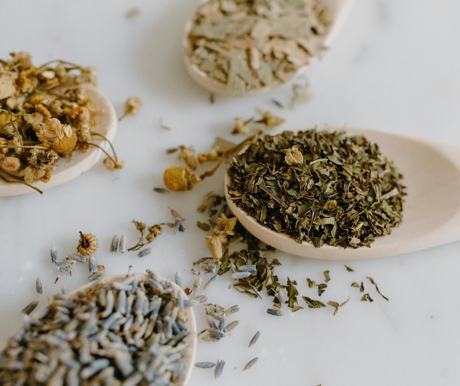 Single Herbs