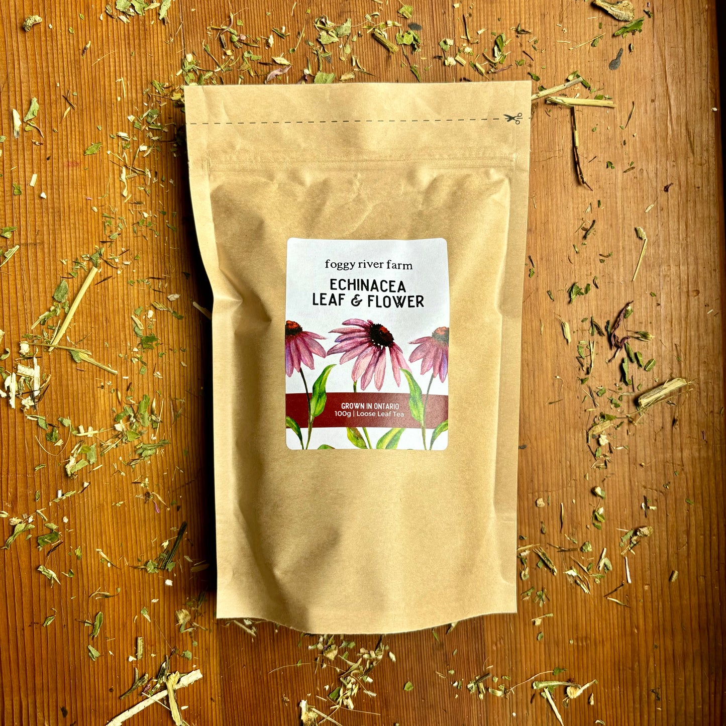 Echinacea Leaf & Flower
