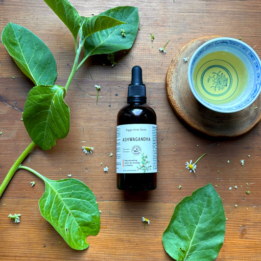 Ashwagandha | Energy & Vitality
