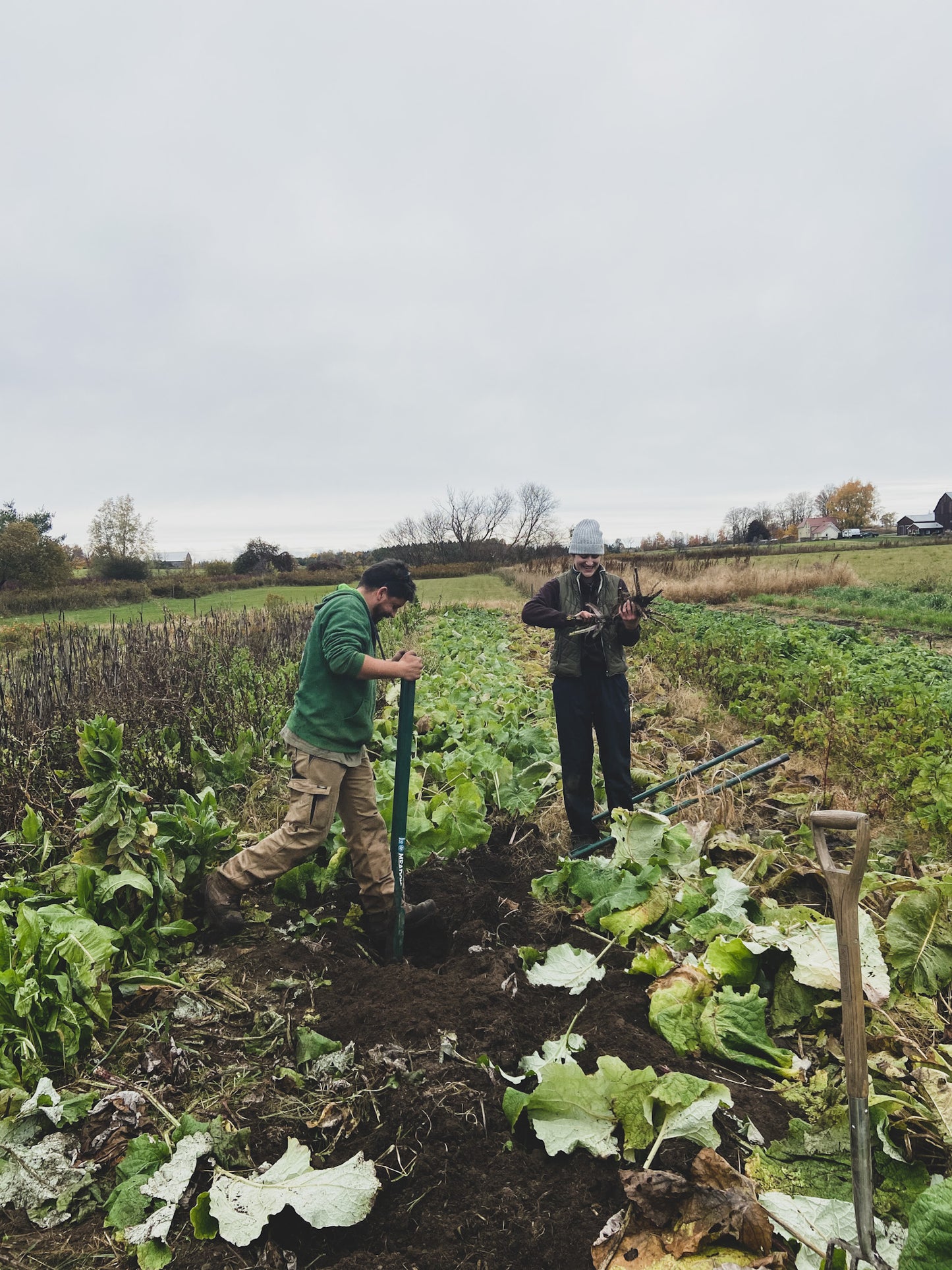 Farm Tour, Herb Walk & Tea Tasting