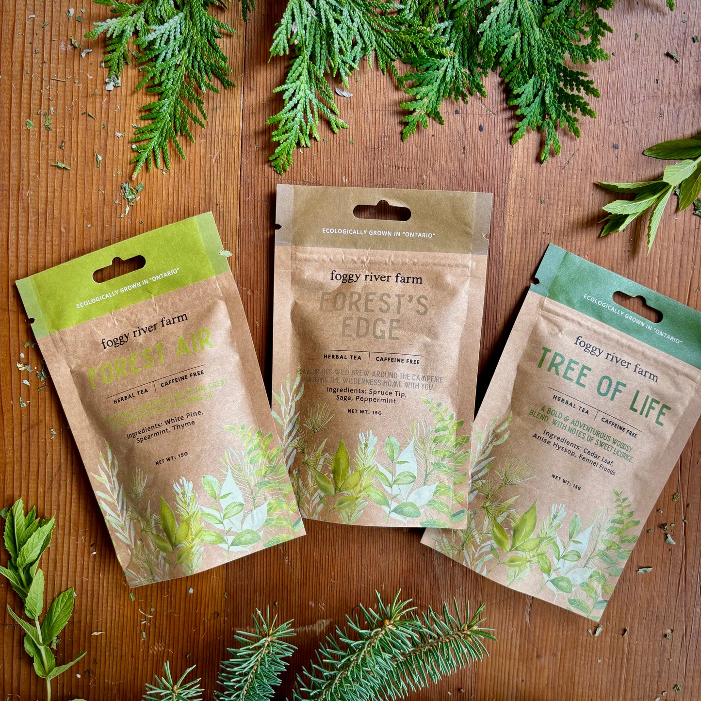 Three packages of foggy river farm herbal teas labelled forest air, forest's edge, tree of life. Laid out on a wooden surface with evergreen leaves scattered around