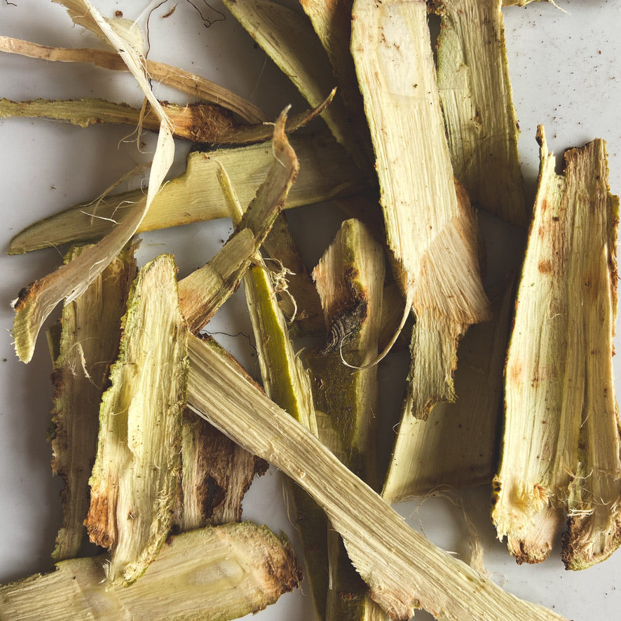 Willow Bark | Pain & Inflammation