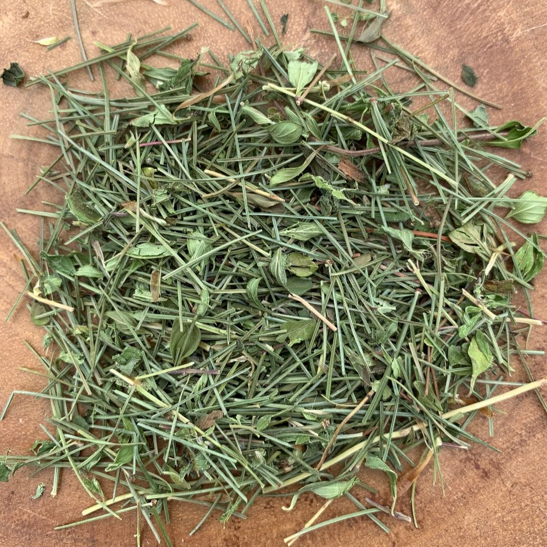 FOREST AIR Herbal Tea