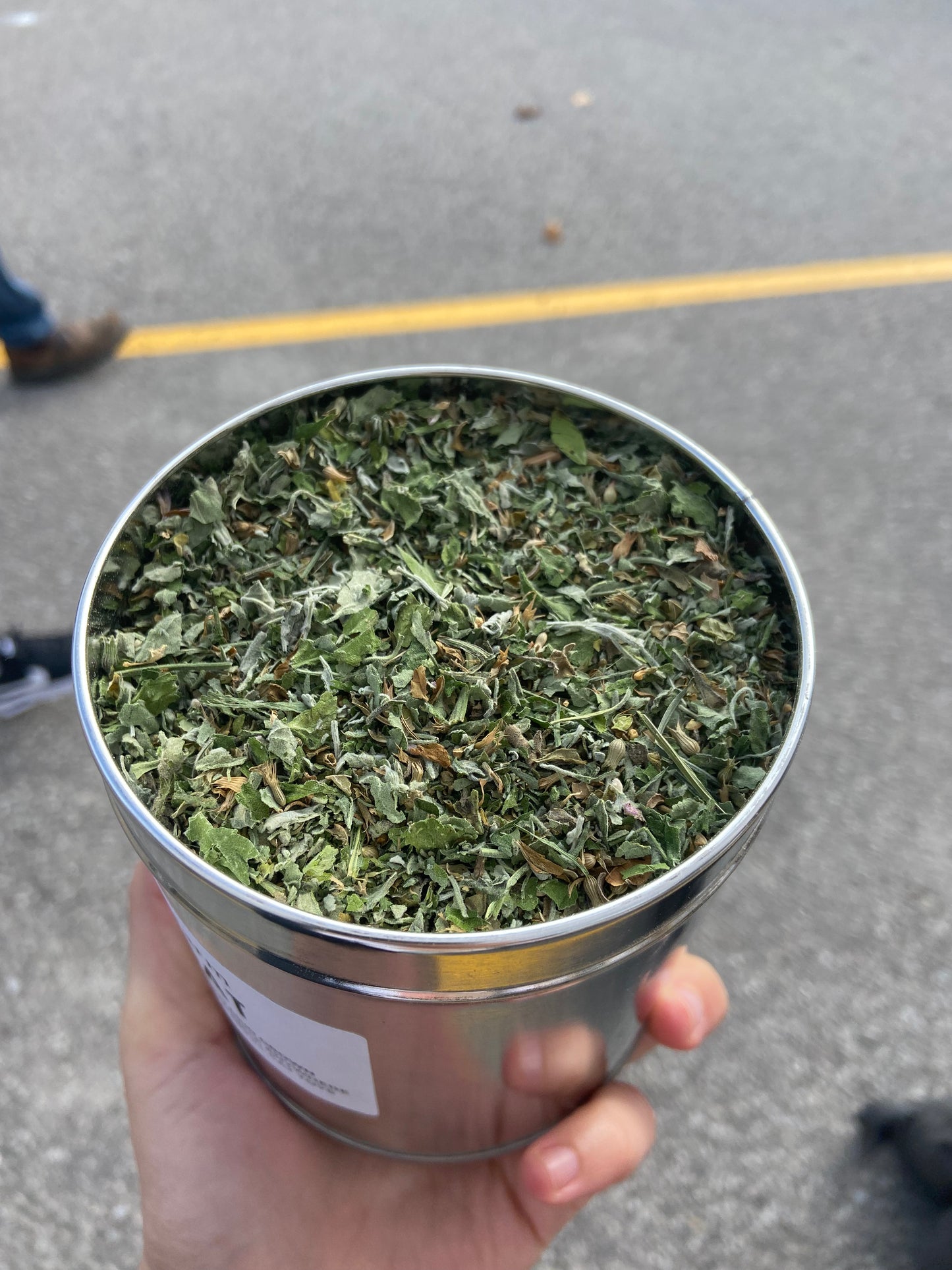 Good Cat // Pure Catnip