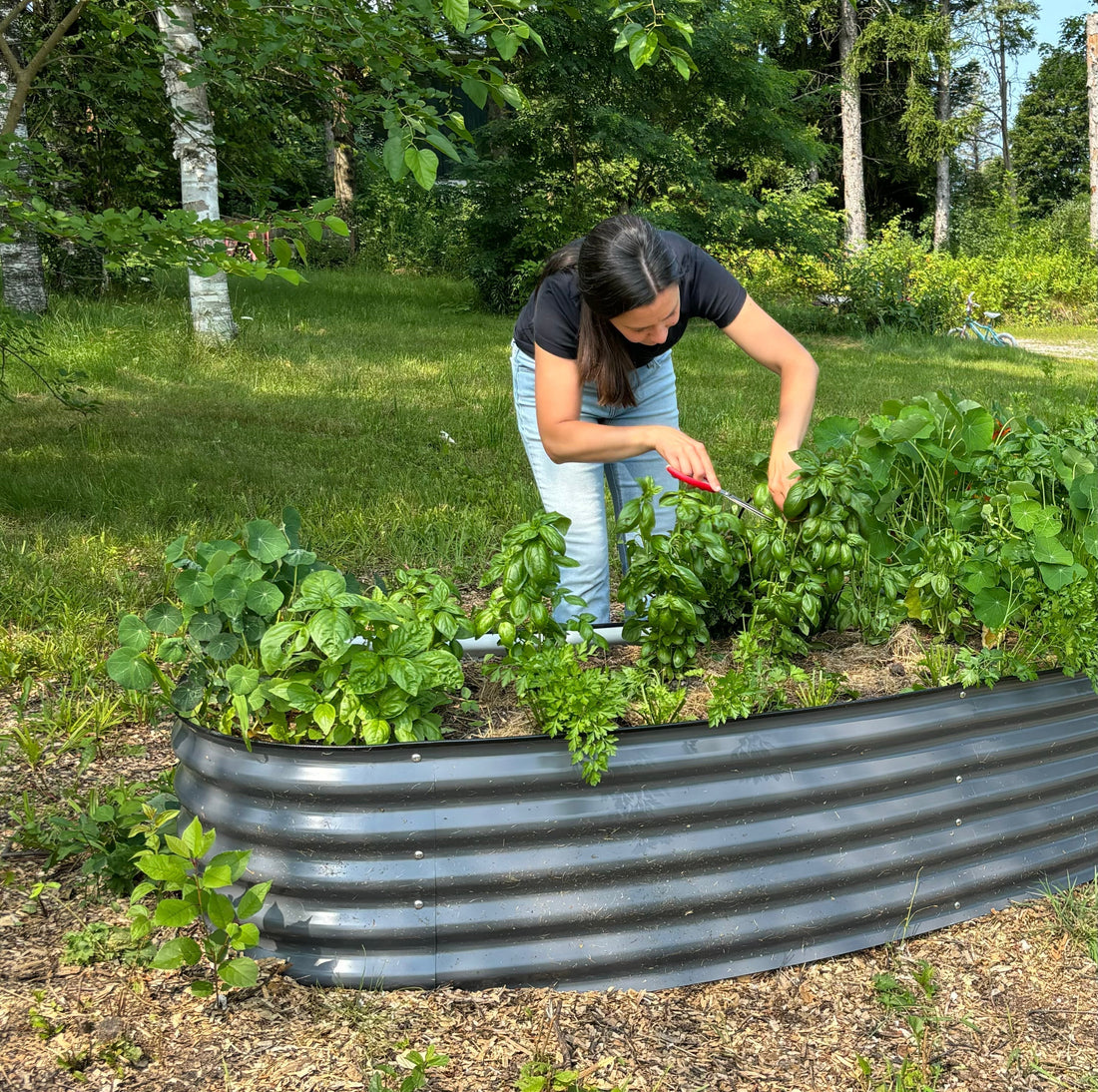 Your First Year Guide to Growing Herbs (Season-by-Season)