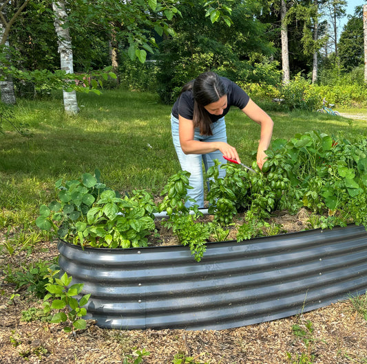 Your First Year Guide to Growing Herbs (Season-by-Season)