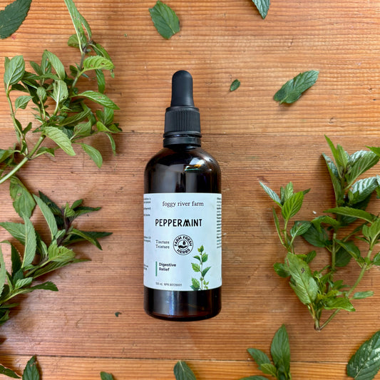 Peppermint | Digestive Relief