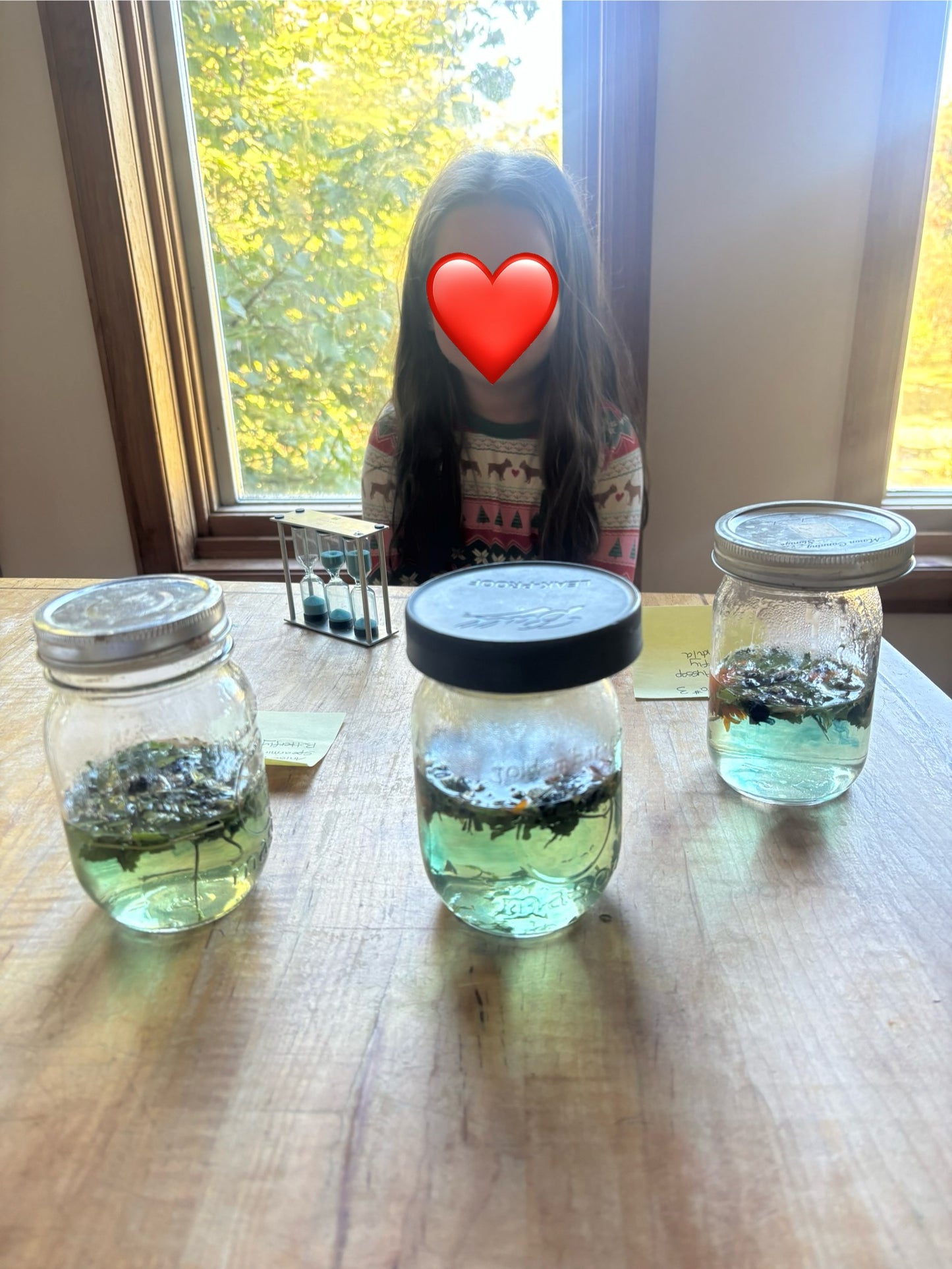 Magic Leaf Herbal Tea | Farm Kid Creations
