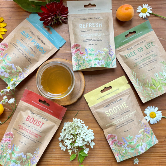 Iced Tea Bundle