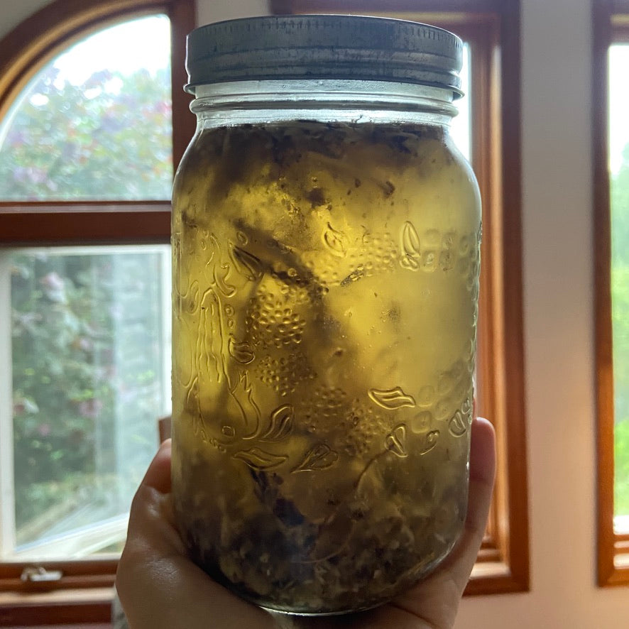 Marshmallow Root
