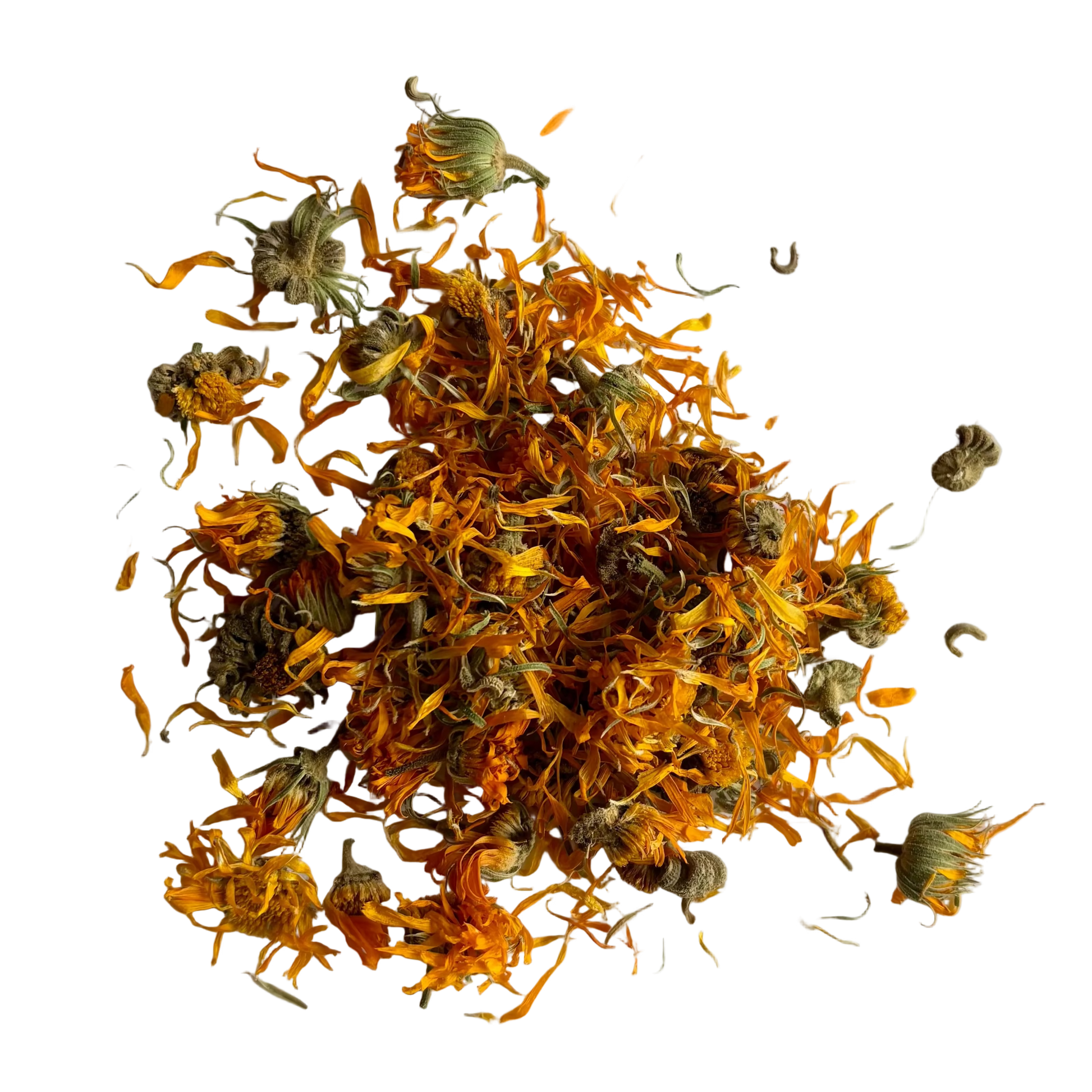 Dried calendula flowers
