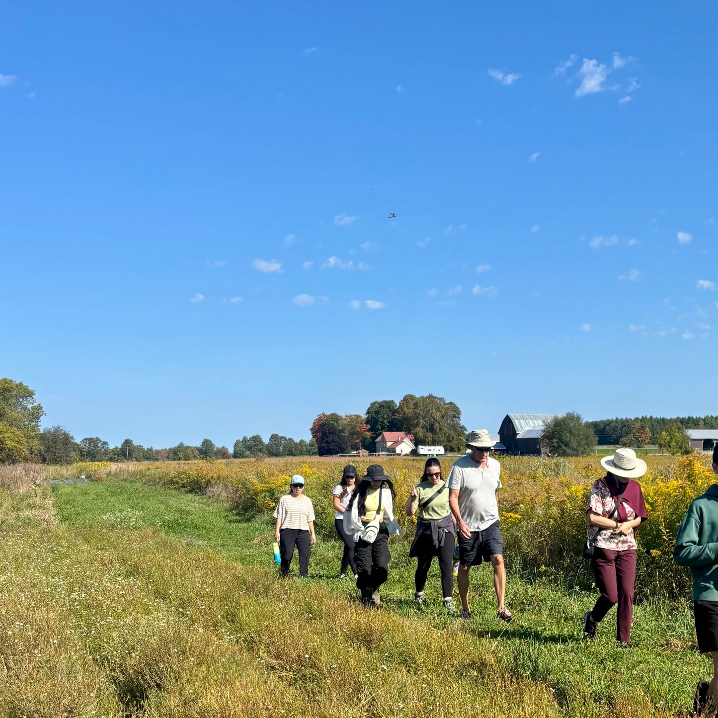 Farm Tour, Herb Walk & Tea Tasting