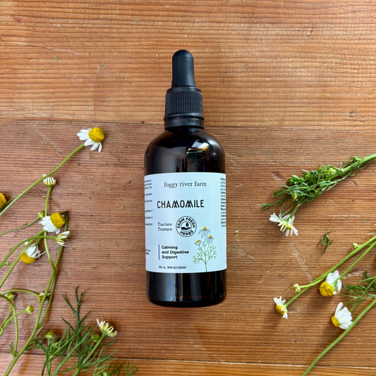 Chamomile | Calm & Digestive Ease