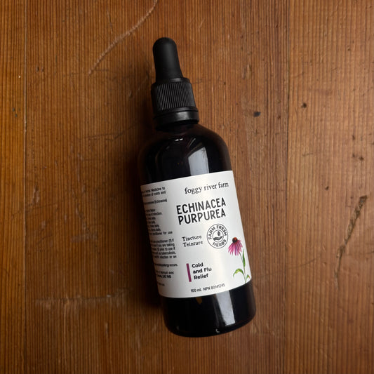 Echinacea | Cold and Flu Relief