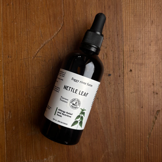 Nettle Leaf | Allergy Relief and Nutritive Tonic
