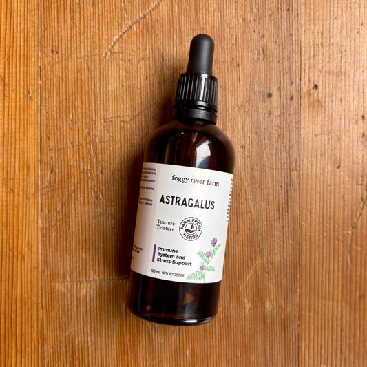 Astragalus | Immune System & Stress Support