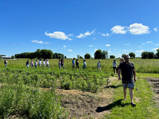 Farm Tour & Tea Tasting