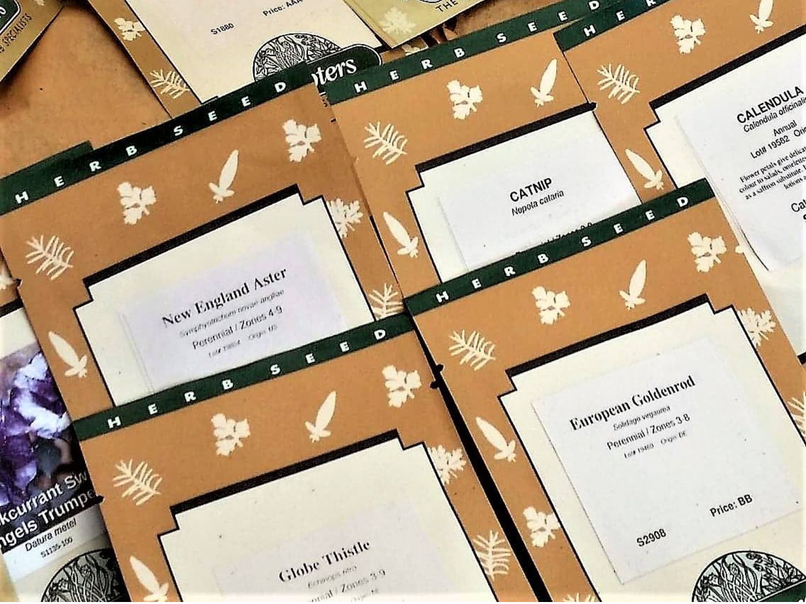 richters herb seed packages