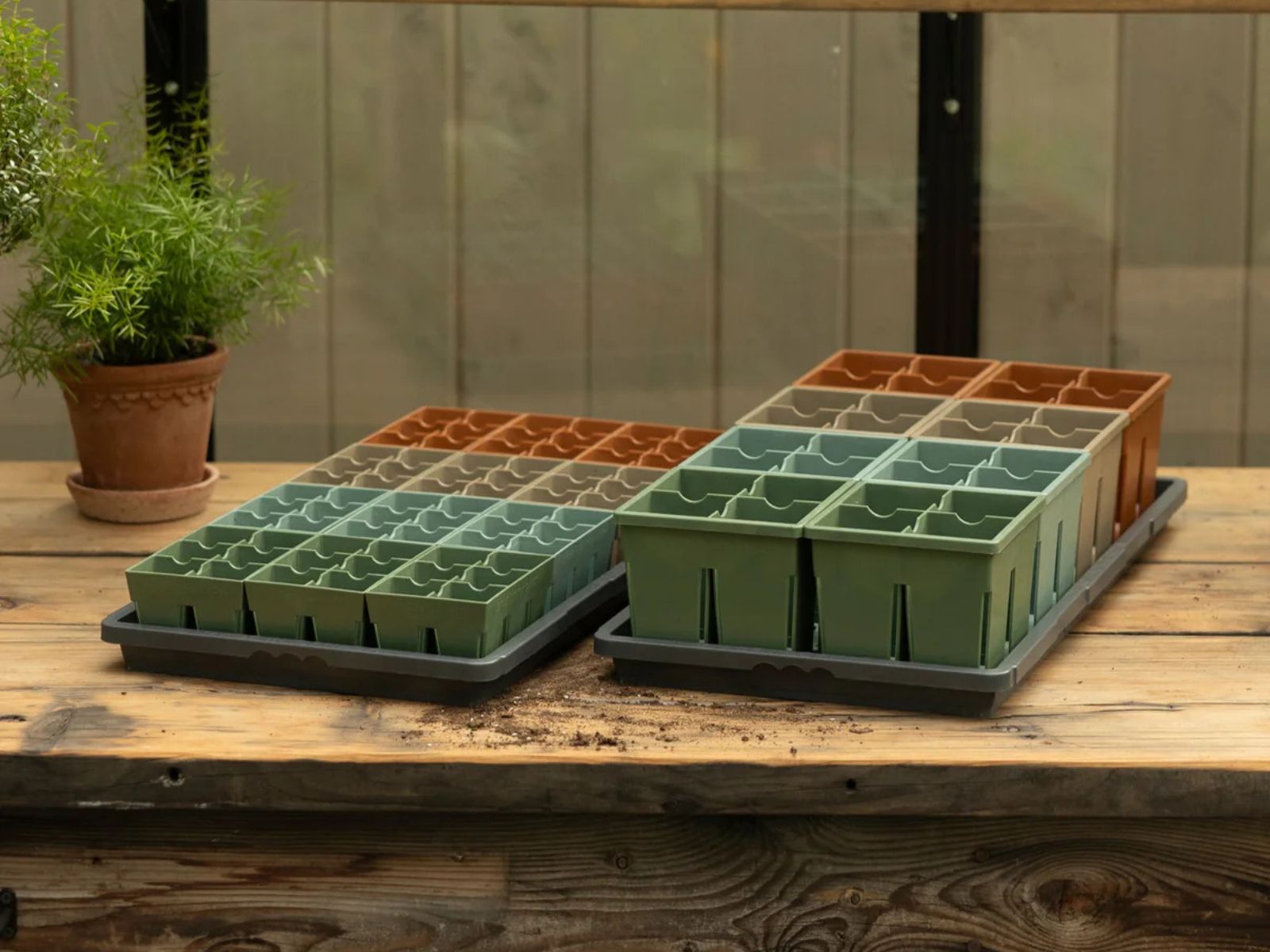 sprout box seed starting kit