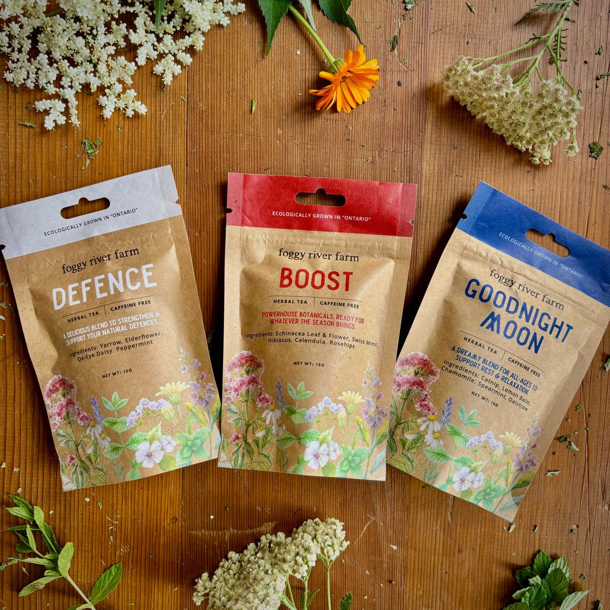 Wellness Tea Collection – Foggy River Farm