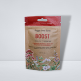 BOOST Herbal Tea