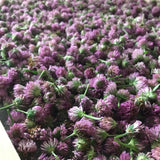 Red Clover - 100g
