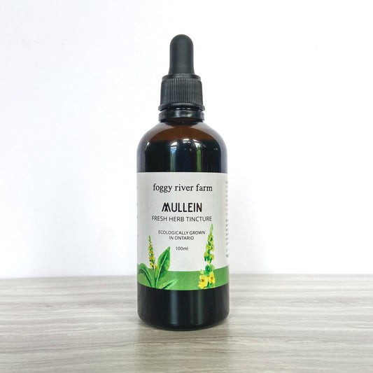Mullein | Lung Tonic